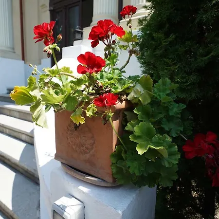 Center Premium דירה בוקרשט